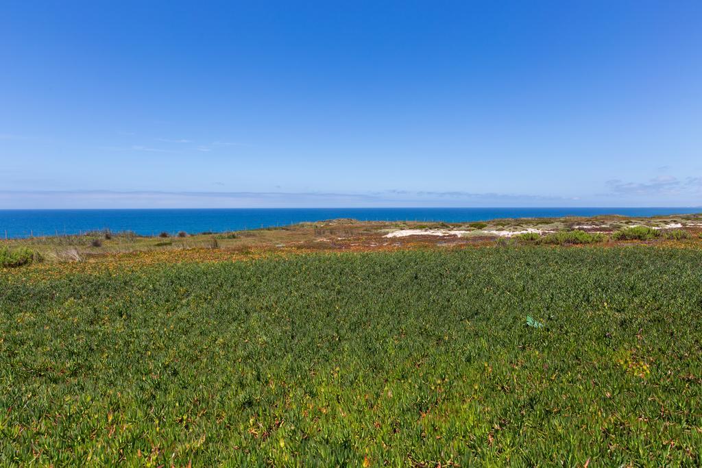 Ocean View Beach House In Santa Cruz Santa Cruz (Oeste) Kamer foto